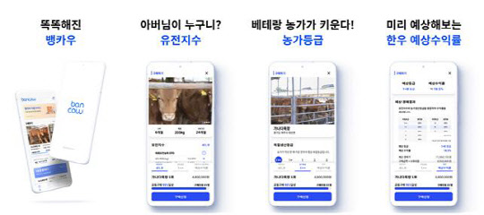 사진= 스탁키퍼 '뱅카우' 플랫폼 이미지